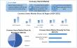 Coronary Stents Market To Hit USD 14.91 Billion by 2032, Grow at CAGR of 7.6% From 2025 To 2032