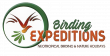 Oaxaca to Belize: Birding Expeditions Unveils Wild Tours at Global Birdfair 2025