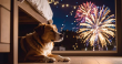 Animal Wellness Action Urges Americans to Protect Pets and Wildlife from the Stress and Harm of Fireworks 