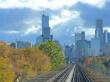 A Journal of Environmental Sciences Study Investigates Trees Best Suited for Cities 