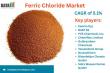 Ferric Chloride Market Growth Insights | Industry Analysis & Demand Outlook 2025 | DataM Intelligence
