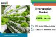 Hydroponics Market Set to Reach $47.92B by 2032, Driven by Tech and Sustainability Trends | DataM Intelligence