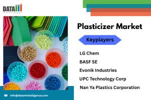 The Plasticizer Market is poised for steady expansion, with expectations of a 5 Plasticizer Market