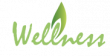 Unique Wellness Brings NASA Technology to Senior Care with Its Advanced Briefs