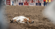 2025 Calgary Stampede opens amid growing opposition to rodeo and chuckwagon events