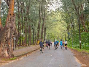 Group of cyclists riding through a peaceful, tree-lined road during the guided bike tour to Moklen Village, launched by Le Méridien Khao Lak Resort & Spa.