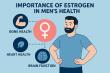 New Research Highlights Critical Role of Estradiol in Men’s Health