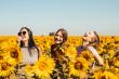 European Integrative Wellness by Tamara Nosa Strengthens Focus on Hormone Replacement Therapy for Women in Naperville IL