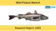 Wild Pollock Market is Forecasted to Reach USD 3.98 Billion by 2035 | Fact.MR Analysis