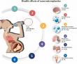 Nano- and Micro-plastics in Our Bodies: A Comprehensive Review of Risks and Research Opportunities
