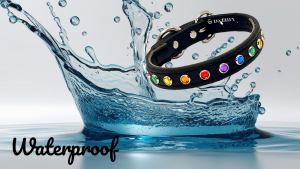 DAZZIFY Black Waterproof Collar