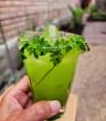 Chef Adán Medrano Reimagines a Traditional Mexican Beverage with Moringa