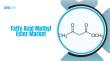 Fatty Acid Methyl Ester Market to Hit USD 31.3 Billion by 2035, Growing at 4.7% CAGR