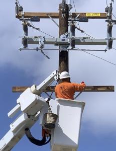 12KV Switch (Zapien)