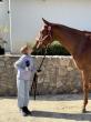 Pacific Coast Arena League (PCAL) Hosts Season Opener at OC Polo Club