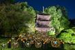 Light and Cool: New 'Suzukaze Takeakari' Bamboo Lantern Display Debuts This Summer at Hotel Chinzanso Tokyo