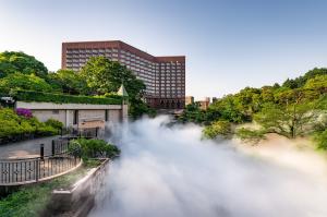 The Tokyo Sea of Clouds at Chinzanso Garden