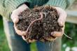 Organic Fertilizers Market 2025: Strategic Insights and Investment Opportunities Through 2032
