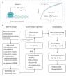 Lighting up transcription: a real-time assay breaks new ground
