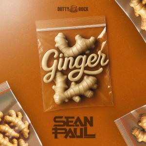 Internationally acclaimed dancehall superstar Sean Paul is turning up the heat this summer with the release of his latest single, “Ginger,” available worldwide on Friday, July 4 via OneRpm