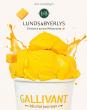 Gallivant Mawa Ice Cream Lands in Minnesota