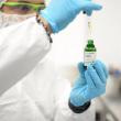Clean Remedies Highlights Commitment to Transparency Through Comprehensive Third-Party Lab Testing