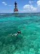 Silent World Dive Center Launches New Snorkel Tour to Carysfort Reef and Lighthouse Aboard Custom Catamaran, The Siren