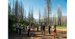 Partners advance forest health on fire-impacted landscape, protecting communities and State Water Project headwaters