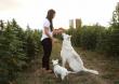 Study Shows that Earth Buddy Products Can Help Pets Manage Everyday Stress
