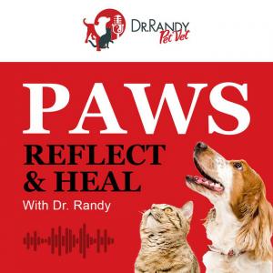 Paws Reflect and Heal Podcast