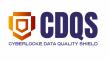 Cyberlocke Expands Data Assurance Platform with New DQS Framework
