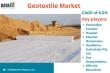 Geotextile Market Analysis | Global Demand, Applications & Industry Outlook 2025 | DataM Intelligence