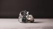 Bob’s Watches’ 15-Year Rolex Market Analysis Highlights Rolex Prices, Validating Luxury Watches as Wearable Investments