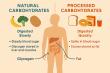MOPE Clinic Explains the Critical Difference Between Natural and Processed Carbohydrates