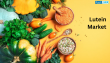 Lutein Market Size Expected to Hit US$ 785.2 Million by 2035, Exhibiting 6.8% CAGR: Fact.MR Analysis