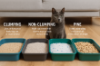 Cat Litter Market Estimated $13.7 Billion Growth by 2035, Expanding at 4.7% Annually