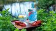 Kennet Wild Crayfish Gin Returns for New Season After Award-Winning Debut