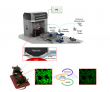 Multiphoton intravital microscopy in small animals of long-term mitochondrial dynamics