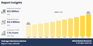 Hydrogen Membrane Market, by Product Type