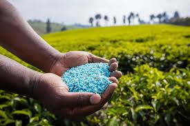 Allied Market Research recently published a report titled, “Nano Fertilizers Market by Raw Material (Nitrogen, Silver, Carbon, Zinc, and Others), Method (Spray or Foliar, and Soil Treated), Application Area (Cereals and Grains, Oilseeds and Pulses, Fruits and Vegetables, and Others): Global Opportunity Analysis and Industry Forecast, 2024–2033 Nano Fertilizers Market 2025