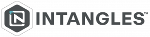Intangles Wordmark Grey