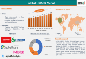 CRISPR Market 2025-2033