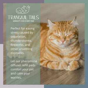 Tranquil Tails for Cats