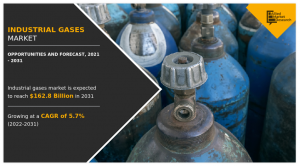 Industrial Gases Market1