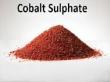 Cobalt Sulphate Market to Reach $1.9 Billion by 2030, with Industry Leaders Dominating the Landscape