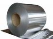Lithium Foil Market 2025-2031 Emerging Trends in Industry Dynamics, Size Insights, Share and Future Growth