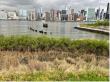 Frank Ottomanelli to host celebration for Hunters Point South Park Urban Land Institutes 2025 Award for excellence