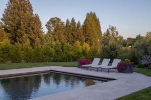 privacy shrubs along fence