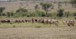 Boomitra Expands Global Soil Carbon Leadership with East Africa Grassland Project Registration