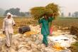 Boomitra’s Carbon Farming Project in India Achieves Verra Registration, Expanding Impact in Key Agricultural Regions